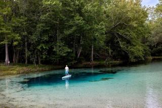 Relaxing and Fully Equipped Cabin in Lake City, Florida, near Ichetucknee Springs State Park - 4