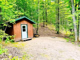 Peaceful Cabin with Comfortable Bunk Beds Nestled in the Trees near White Lake, Wisconsin - 5