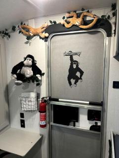 Unique Jungle-Style Glamping RV with 8-Foot Suspended Tree Tent near Creek Trails in Forestburg, Texas - 3