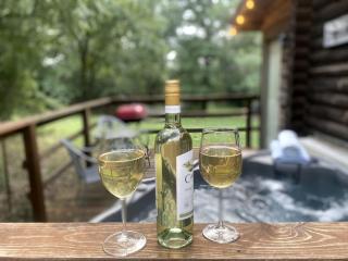 Sustainable and Pet-Friendly Cabin Perfect for Animal Lovers in Bluff Dale, TX - 5