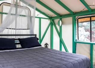 Beautiful Tented Cabin with Stunning Reservoir Views for a Unique Glamping Getaway in Bridgeport, California - 2