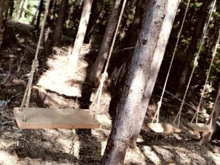 Eco Friendly Safari Tent with a Creek View in Forks, Washington, near the Hoh Rainforest - 2