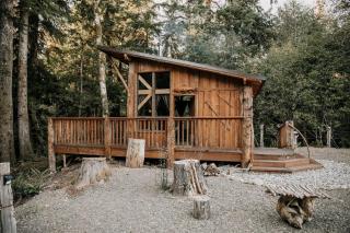 accessibility aid Accessible Log Cabin near Lake Crescent in Forks, Washington, Perfect for a Weekend of Relaxation - 2