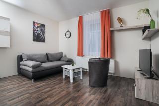 Le petit Palais - Apartments - Bad Suderode - 4