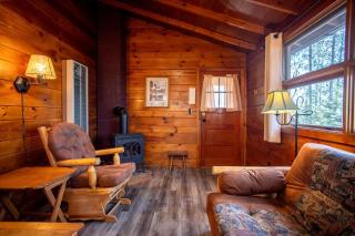 Cozy Lakefront Honeymoon Cabin with Fireplace & Marina Access Near Babbitt, Minnesota - 3
