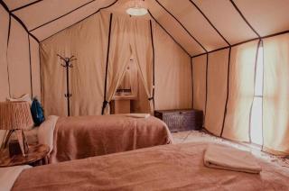 Palace desert camp - 5