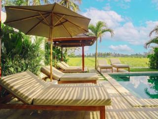 3BR Villa with Rice Field View & Private Pool near Nuanu - 4
