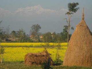 Eco Adventure Resort - Sauraha - 1