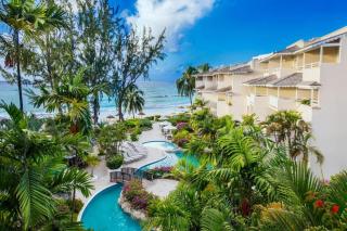 Bougainvillea Barbados - 0