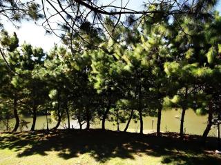 Chatfah Resort - 4