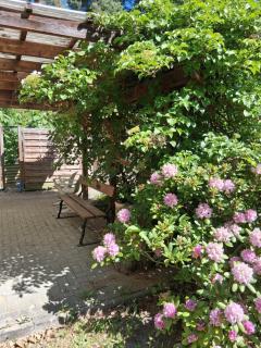Bungalow im Künstlergarten - 1