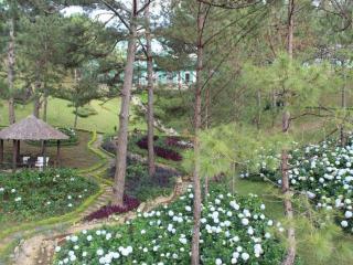 Rung Hoa Hotel - 1