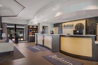 Radisson Hotel Grand Rapids Riverfront - 7