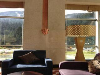 Seercuo International Hotel - 7