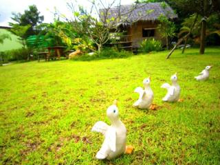Pran Heaven Resort - 6