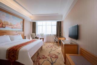 Vienna Internation Hotel Guanlan Sightseeing Branch - 4