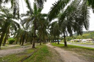 Hotel O Otternest @ Gunung Pulai 2 - 7