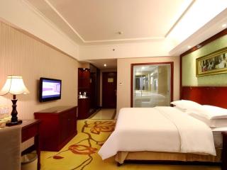 Vienna Hotel Changsha IFS Center - 3