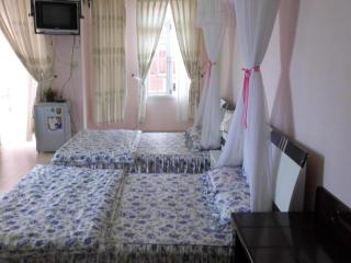 Bich Khue Hotel - Da Lat - 1