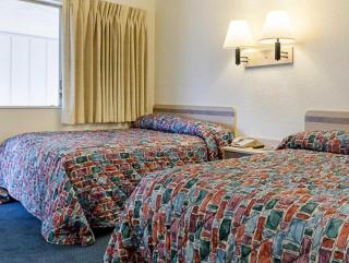 Loyalty Inn - 2