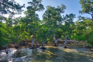 Alcoy Plaza Eco Park Cebu - 4