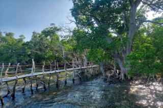 Alcoy Plaza Eco Park Cebu - 3