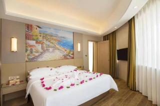 Vienna International Hotel (Sanya High-speed Railway Station) - 2