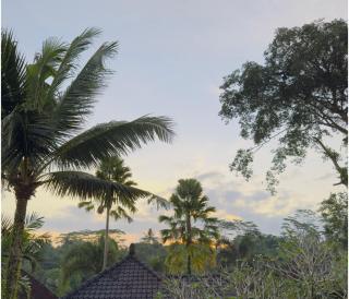 Jambangan bali villa ubud - 6