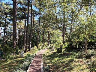 RedDoorz Hostel @ Baguio Tourist Cabin - 4