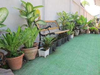 The Star Hotel - 1
