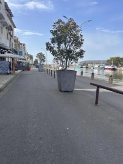 Jolie petite maison de bord de mer - 7