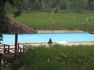 Ban Chomna Resort - 3