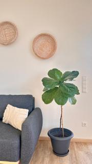 AMAO Obsidian - Business & Family Apartment - 7