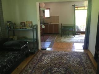 Kokin Brod Apartments - 1