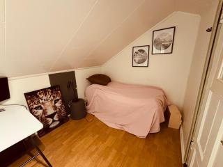 Charming newly renovated house in city centre - 1