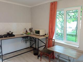 studio with a fireplace - 2