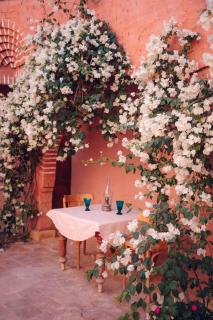 Beit Dina Retreat - Siwa - 1