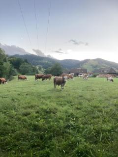 Ferienzimmer Dorfcafé Am Bach - 5