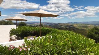 Cortijo la Pura Boutique B&B - 8