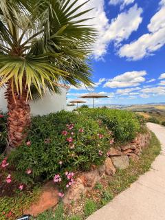 Cortijo la Pura Boutique B&B - 6