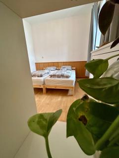 Danube Atelier - The Studio - Rossatz - 1