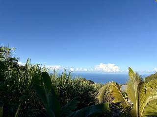 La Case Mont Vert - Tropical haven with pool - 2