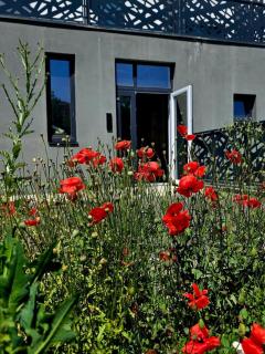 Lety's Cosy Apartment, Free Parking and Wifi - 6