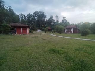 Wetland Homestay Coorg - 5