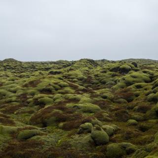 Hótel Bifröst - 1