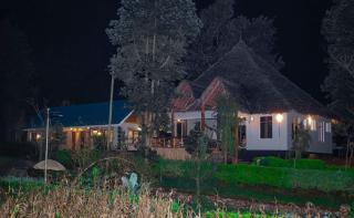 Lushoto Kaya Wald Stay - 9