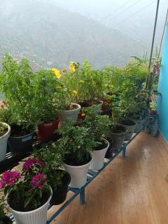 Aashirvad Home Stay - 8