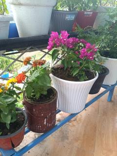 Aashirvad Home Stay - 7