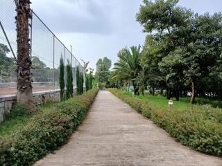 Gorgora Eco Resort - 2