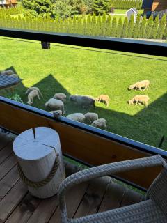 Kominkowy Chill - Jacuzzi, Sauny & Wybrane apartamenty z prywatnym jacuzzi - 9